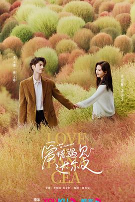 惠城公司网站优化招聘网